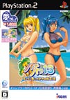 IREMコレクション パチパラ13<br />～スーパー海とパチプロ風雲録～